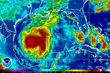 Harvey.jpg
