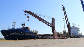 MV Industrial Strength_IMG_0007_reduced.jpg